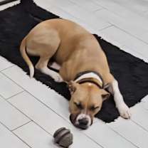 Thumbnail photo of Charlie #4