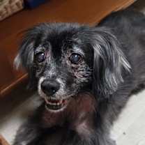 Thumbnail photo of Major #2