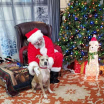 Thumbnail photo of Rae #1