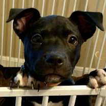 Thumbnail photo of Rubi #3