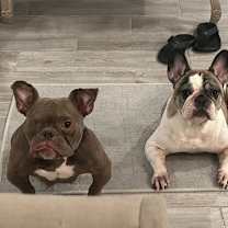 Thumbnail photo of Penelope #3