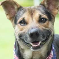 Thumbnail photo of Amos #1