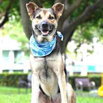 Thumbnail photo of Amos #3