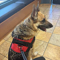 Thumbnail photo of Sally #3