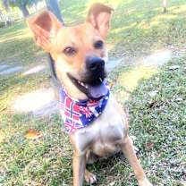 Thumbnail photo of Butter #3