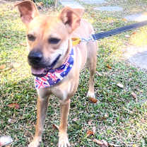 Thumbnail photo of Butter #2