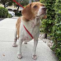 Thumbnail photo of Chance #2