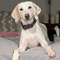 Thumbnail photo of Summer #3