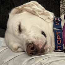 Thumbnail photo of Summer #4