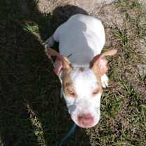 Thumbnail photo of Timmy #2