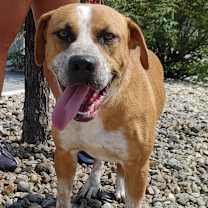 Thumbnail photo of Beasley #1