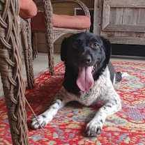 Thumbnail photo of Mary Ann #1