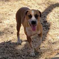 Thumbnail photo of Beasley #2