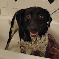 Thumbnail photo of Mary Ann #3