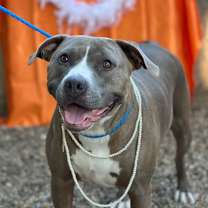 Thumbnail photo of Sylvia 1977 #1