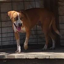 Thumbnail photo of Beasley #4