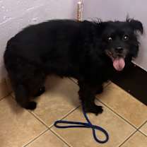 Thumbnail photo of Stella- homeless at 15! #1