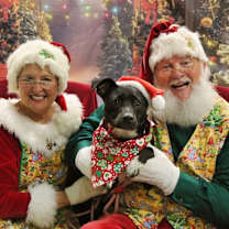 Thumbnail photo of Stella #1