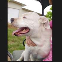 Thumbnail photo of Buddy #4