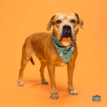 Thumbnail photo of Lilith* #1