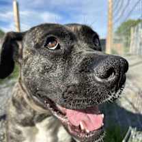 Thumbnail photo of Noelle #4