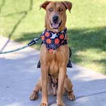 Thumbnail photo of Lucky #1