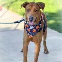 Thumbnail photo of Lucky #2