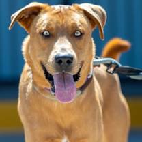 Thumbnail photo of Lucky #3