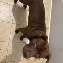 Thumbnail photo of Poseidon #2