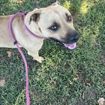 Thumbnail photo of General #1