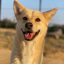 Thumbnail photo of Gowoon #1