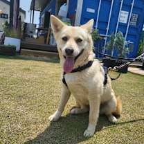 Thumbnail photo of Gowoon #2