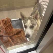 Thumbnail photo of Luna #3