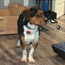 Thumbnail photo of Drake #2