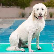 Thumbnail photo of Flower #1