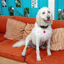 Thumbnail photo of Flower #2