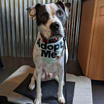 Thumbnail photo of Tatum #2