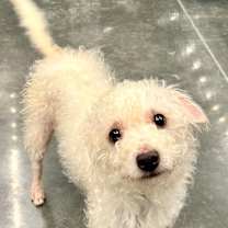 Thumbnail photo of Bryan (female) #2