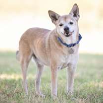 Thumbnail photo of Kramer #1