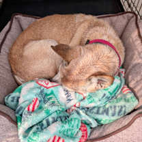 Thumbnail photo of Kramer #2