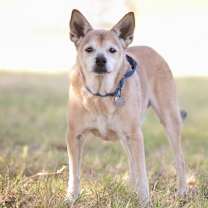 Thumbnail photo of Kramer #3