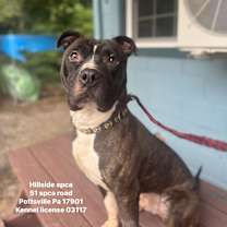 Thumbnail photo of Havoc #1