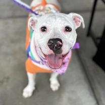 Thumbnail photo of Asha Chatham #1