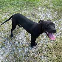 Thumbnail photo of Lani #3