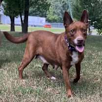 Thumbnail photo of Kynlee #1