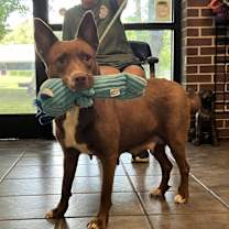 Thumbnail photo of Kynlee #4