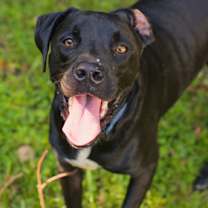 Thumbnail photo of Sunkist #1