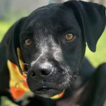 Thumbnail photo of Sunkist #3