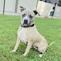 Thumbnail photo of LONDON #1