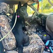 Thumbnail photo of Gabe Jr #2